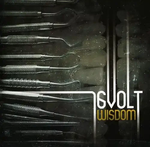 16 Volt Wisdom – COMPACT DISCS