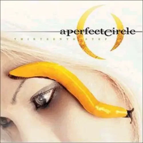 A Perfect Circle – Thirteenth Step [LP]