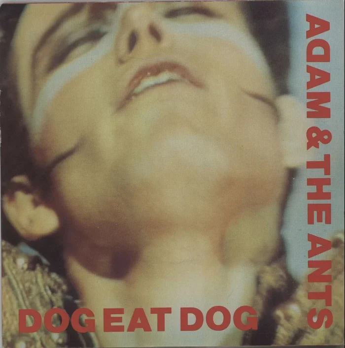 Adam & The Ants Dog Eat Dog – Solid – P/S UK 7 ” vinyl