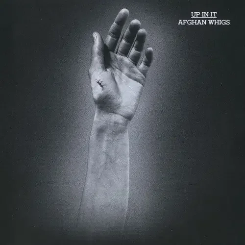 AFGHAN WHIGS / UP IN IT