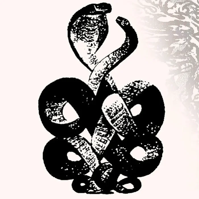 Bardo Pond – Volume 4 & 5 (Gate) [Download Included]