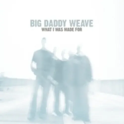 Big Daddy Weave What I Was Made for – COMPACT DISCS
