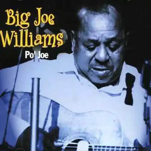 Big Joe Williams Po Jo – COMPACT DISCS