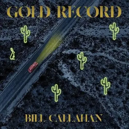 Bill Callahan Gold Record – VINYL LP
