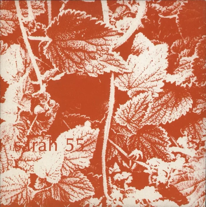 Blueboy Clearer UK 7 ” vinyl