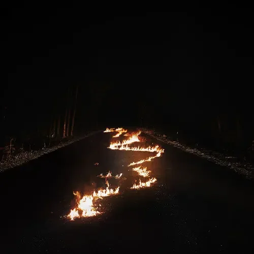 Bob Moses Battle Lines – COMPACT DISCS