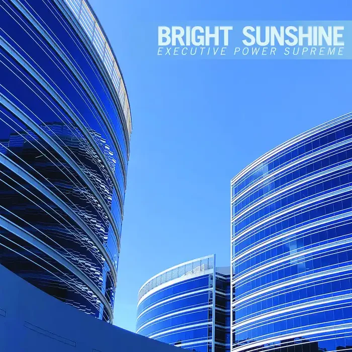 Bright Sunshine – Executive Power Supreme [LP]