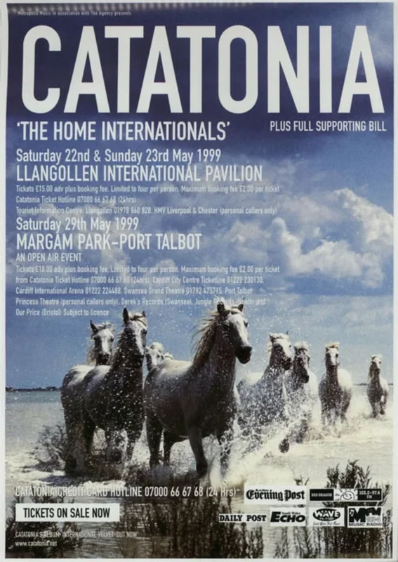 Catatonia The Home Internationals UK Poster