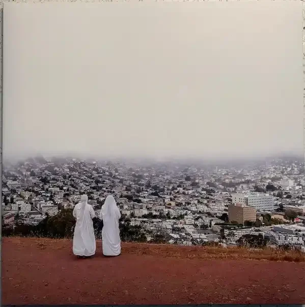 Death Cab For Cutie – Asphalt Meadows (LP, Album, Club, Ltd, Num, Pin) (Mint (M))