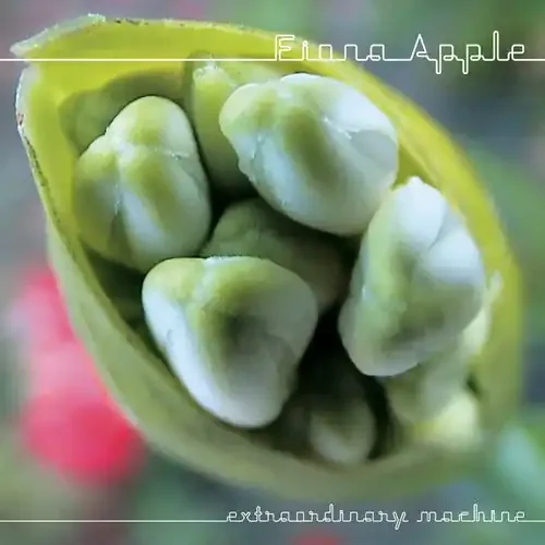 Fiona Apple Extraordinary Machine – COMPACT DISCS