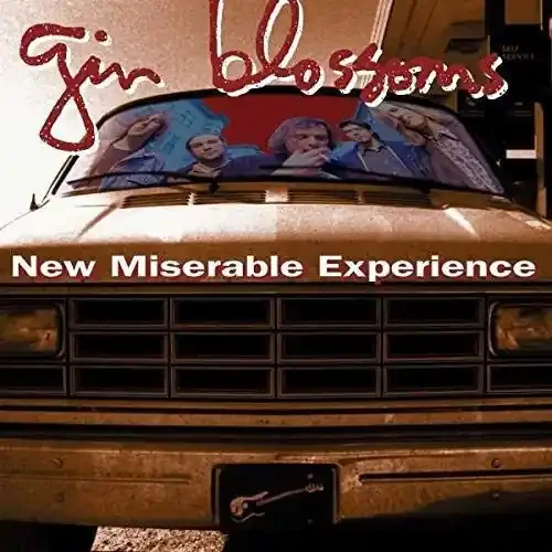 Gin Blossoms – New Miserable Experience [2 LP]