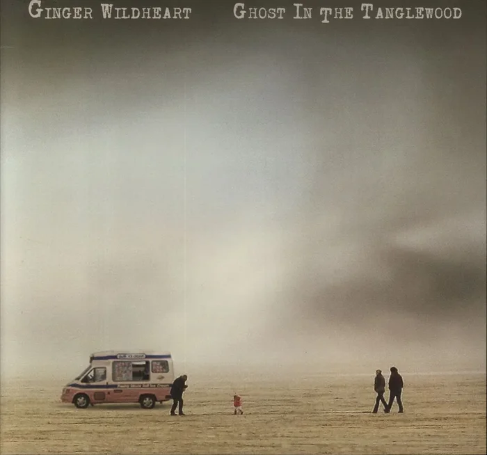 Ginger (Wildhearts) Ghost In The Tanglewood UK Vinyl LP