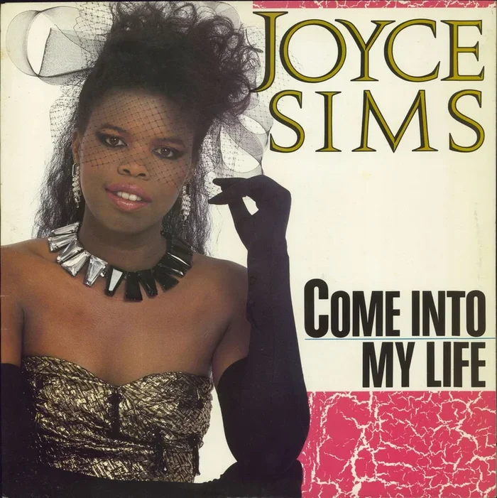 Joyce Sims Come Into My Life US Vinyl LP