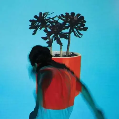 Local Natives Sunlit Youth – COMPACT DISCS
