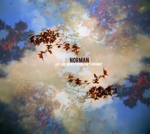 Norman Hay, Hay Make A Wish and Turn Away – COMPACT DISCS