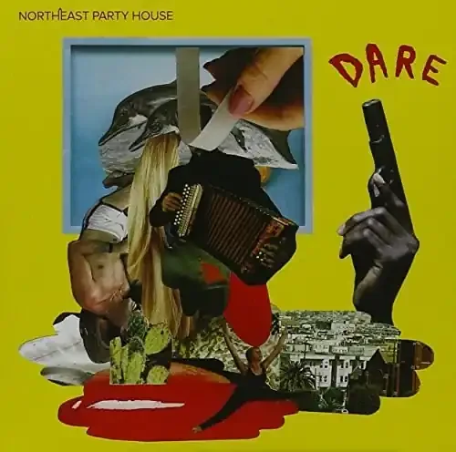 Northeast Party House Dare – COMPACT DISCS