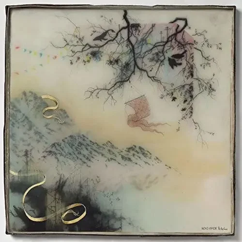 Novo Amor Birthplace – COMPACT DISCS