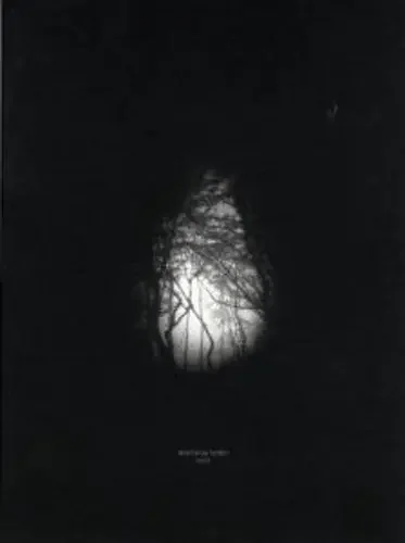 Nucleus Torn Knell – COMPACT DISCS