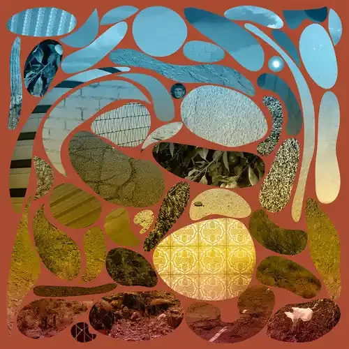 Pedro the Lion Phoenix – COMPACT DISCS