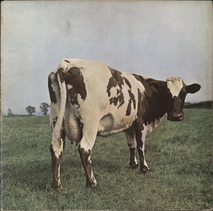 Pink Floyd Atom Heart Mother – 1st – VG World Copyrights/Lupus Music UK Vinyl LP