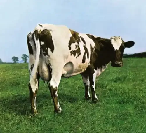 Pink Floyd Atom Heart Mother – COMPACT DISCS
