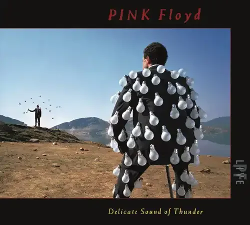Pink Floyd Delicate Sound Of Thunder (Live) – COMPACT DISCS