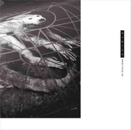 Pixies / Doolittle 25 (B-Sides Peel Sessions & Demos)