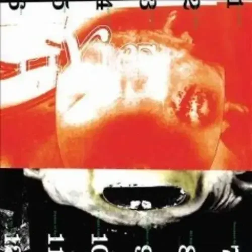 Pixies Head Carrier – COMPACT DISCS