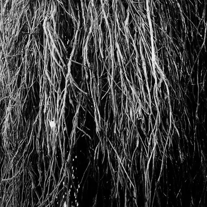 Pre-Order Eraldo Bernocchi / Cavalera,Iggor / Merzbow – Nocturnal Rainforest [LP]