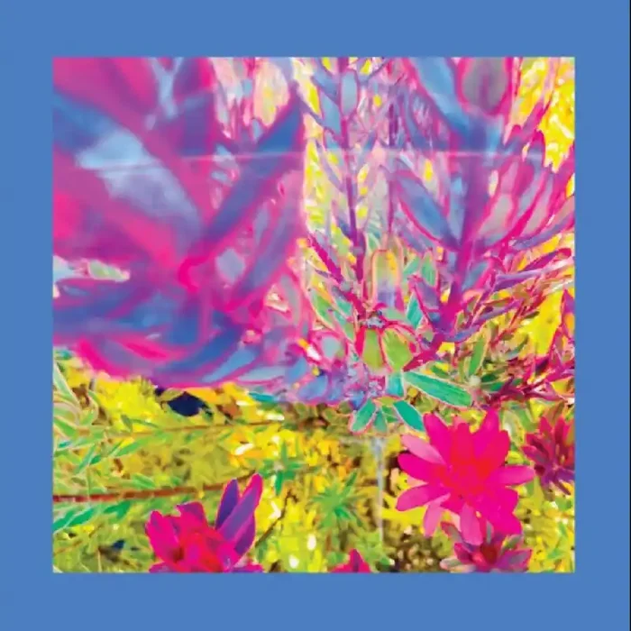 Pre-Order Reds Pinks & Purples – Past Is A Garden I Never Fed (Blue) [Colored Vinyl] [Download Included]