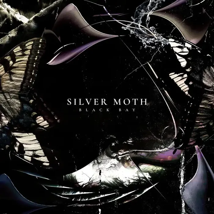 Silver Moth – Black Bay [LP]
