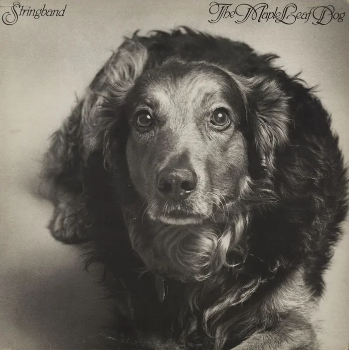 Stringband The Maple Leaf Dog Canadian Vinyl LP
