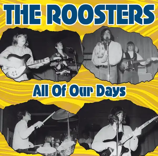 The Roosters – All Of Our Days (LP, Comp) (Very Good Plus (VG+))