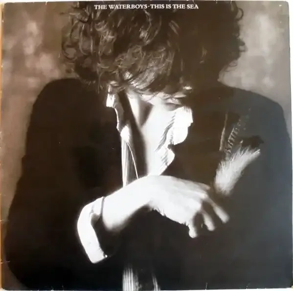 The Waterboys – This Is The Sea (LP, Album, RE) (Very Good (VG))
