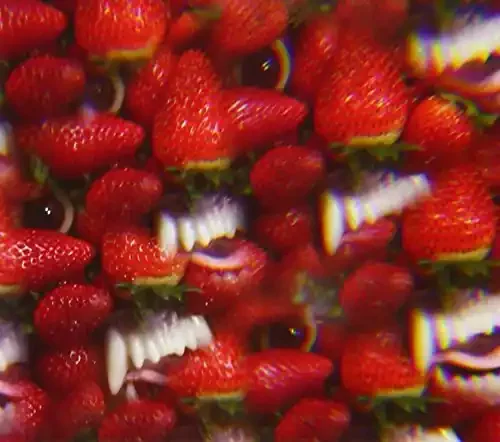 Thee Oh Sees Floating Coffin – COMPACT DISCS