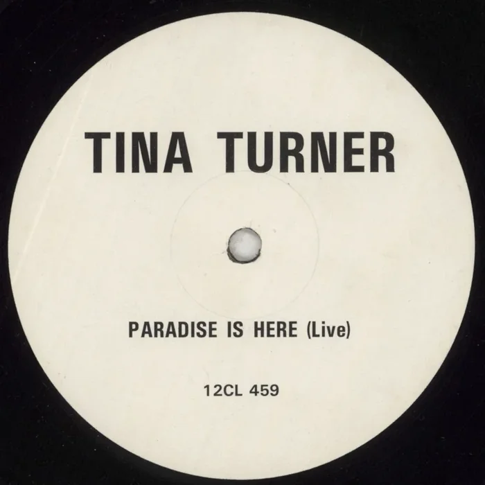 Tina Turner Paradise Is Here UK Promo 12 ” vinyl