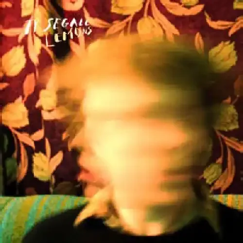 Ty Segall Lemons – COMPACT DISCS